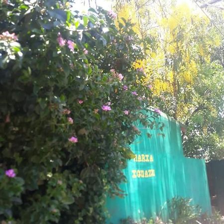 פוארטו איגואסו Posada Maria Iguazu מראה חיצוני תמונה