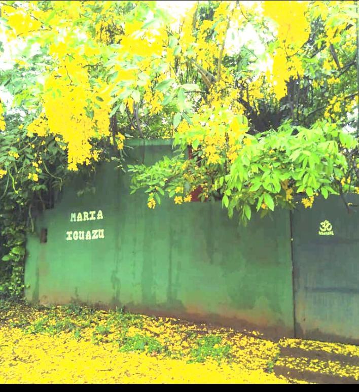פוארטו איגואסו Posada Maria Iguazu מראה חיצוני תמונה