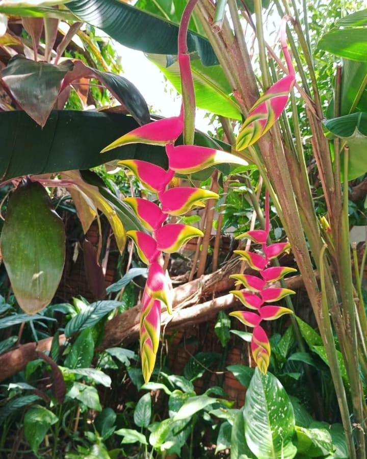 פוארטו איגואסו Posada Maria Iguazu מראה חיצוני תמונה