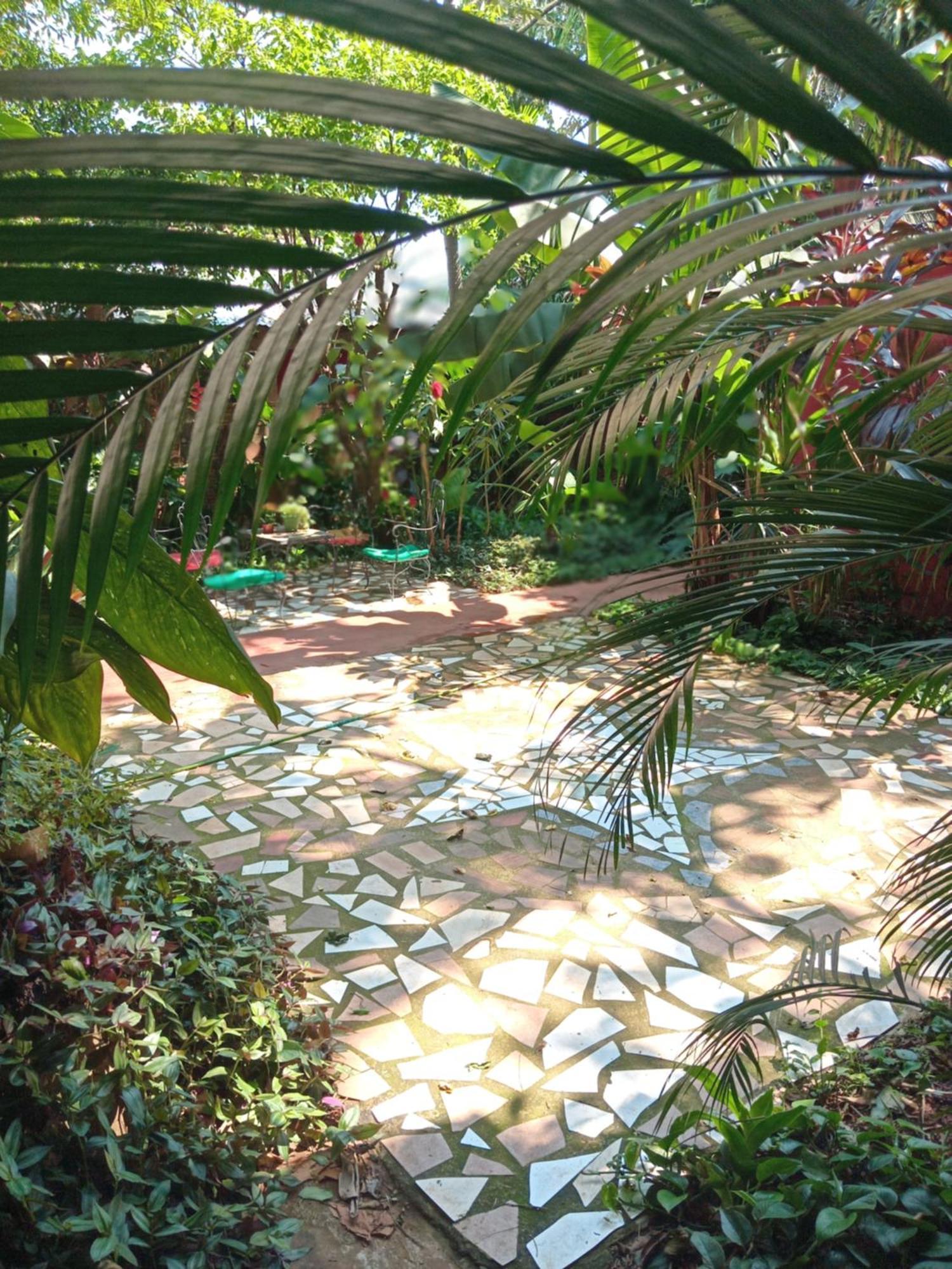 פוארטו איגואסו Posada Maria Iguazu מראה חיצוני תמונה