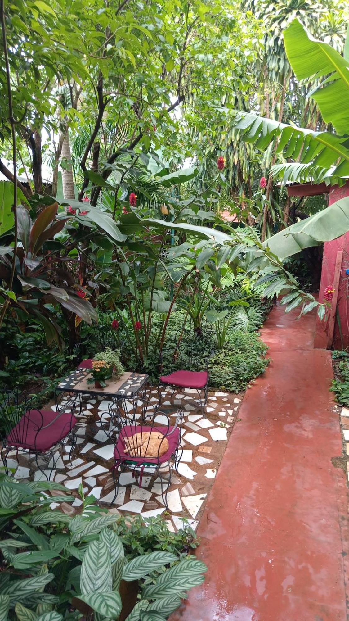 פוארטו איגואסו Posada Maria Iguazu מראה חיצוני תמונה