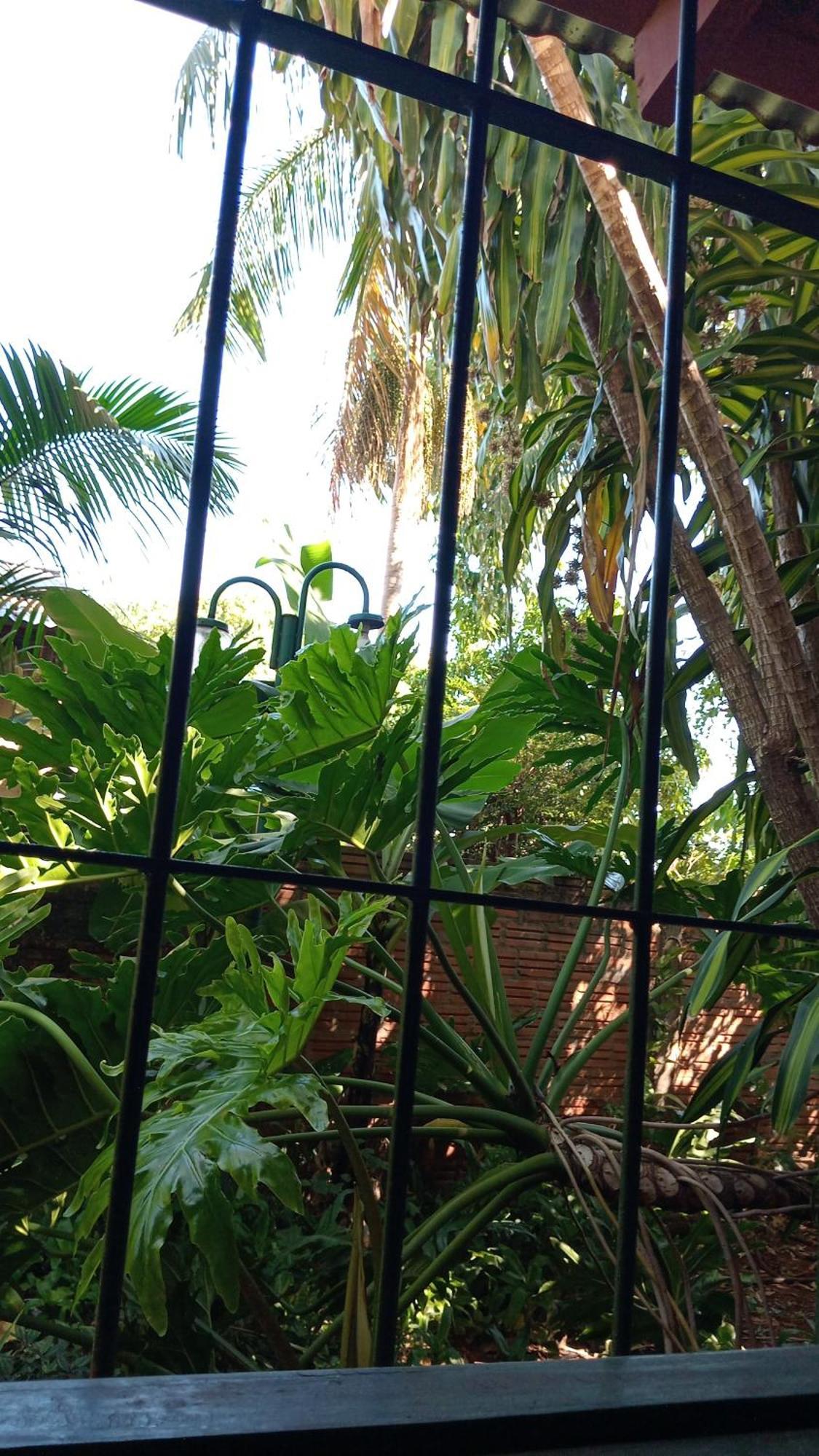 פוארטו איגואסו Posada Maria Iguazu מראה חיצוני תמונה