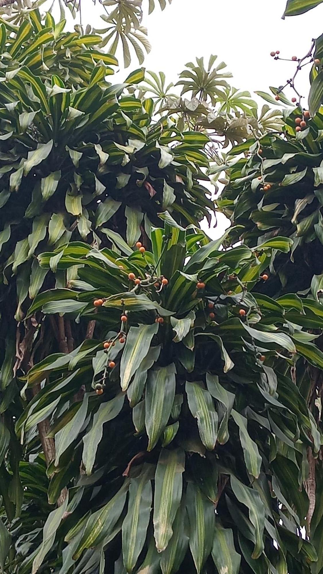 פוארטו איגואסו Posada Maria Iguazu מראה חיצוני תמונה