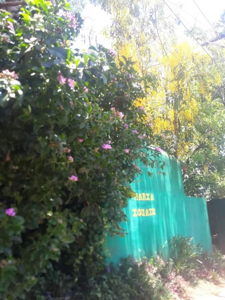 פוארטו איגואסו Posada Maria Iguazu מראה חיצוני תמונה