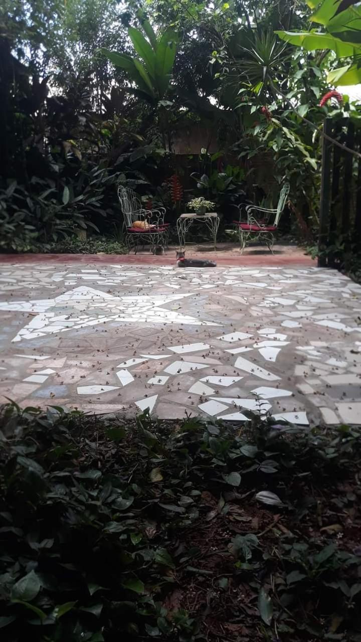 פוארטו איגואסו Posada Maria Iguazu מראה חיצוני תמונה