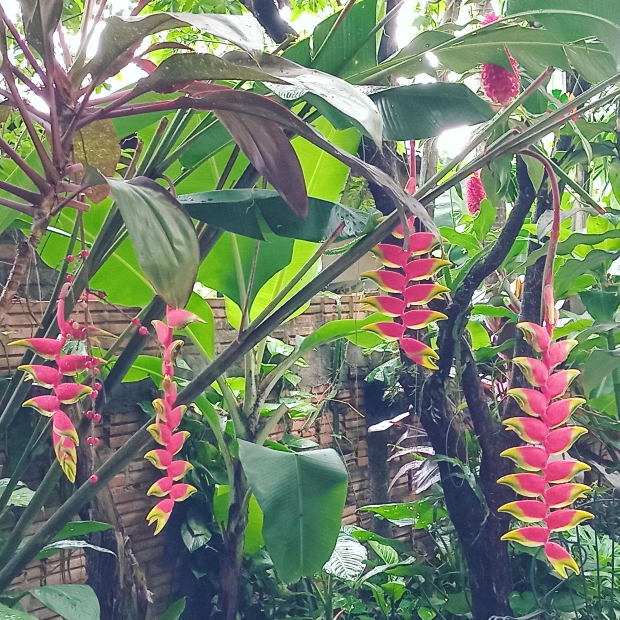 פוארטו איגואסו Posada Maria Iguazu מראה חיצוני תמונה