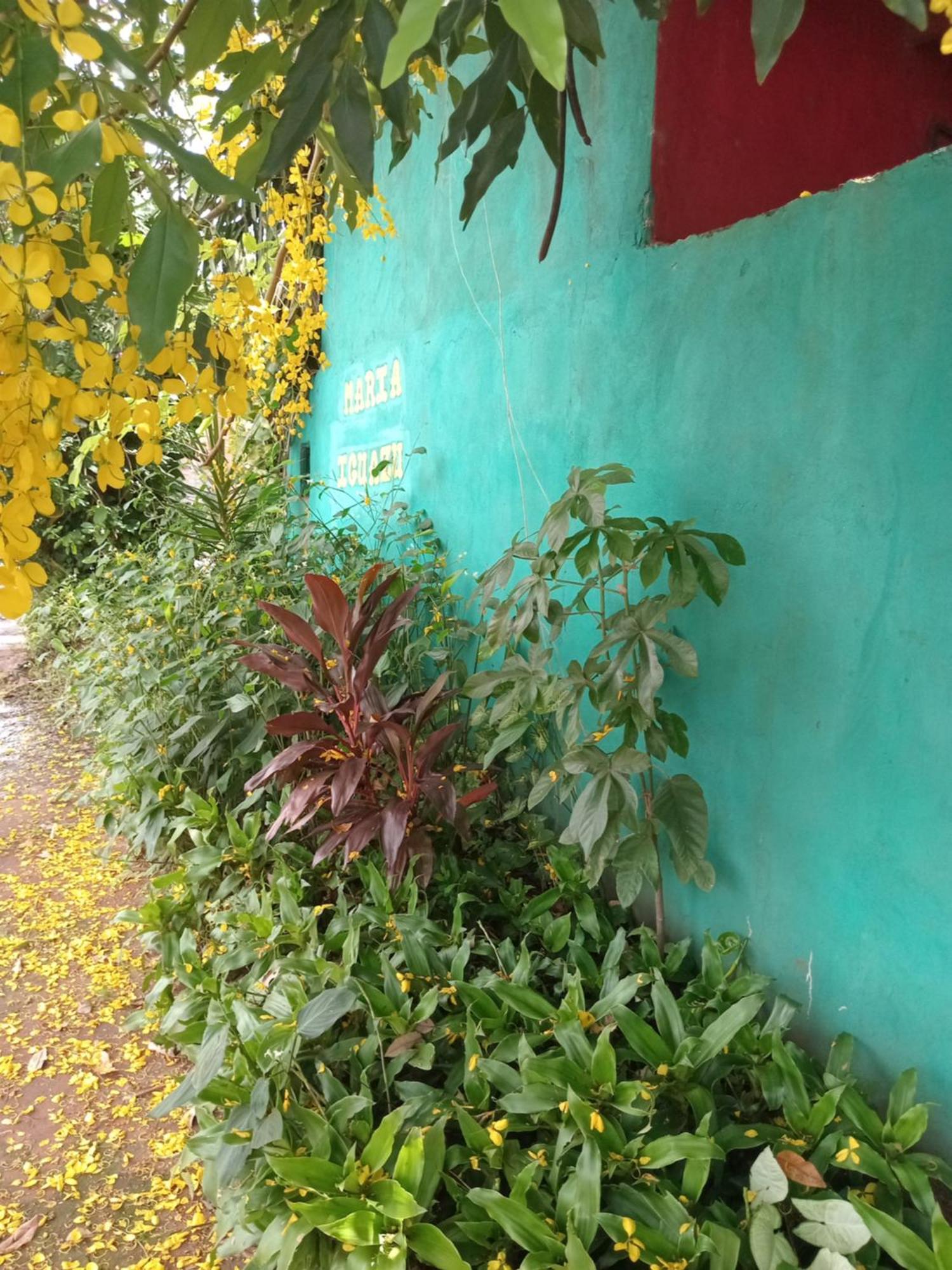 פוארטו איגואסו Posada Maria Iguazu מראה חיצוני תמונה